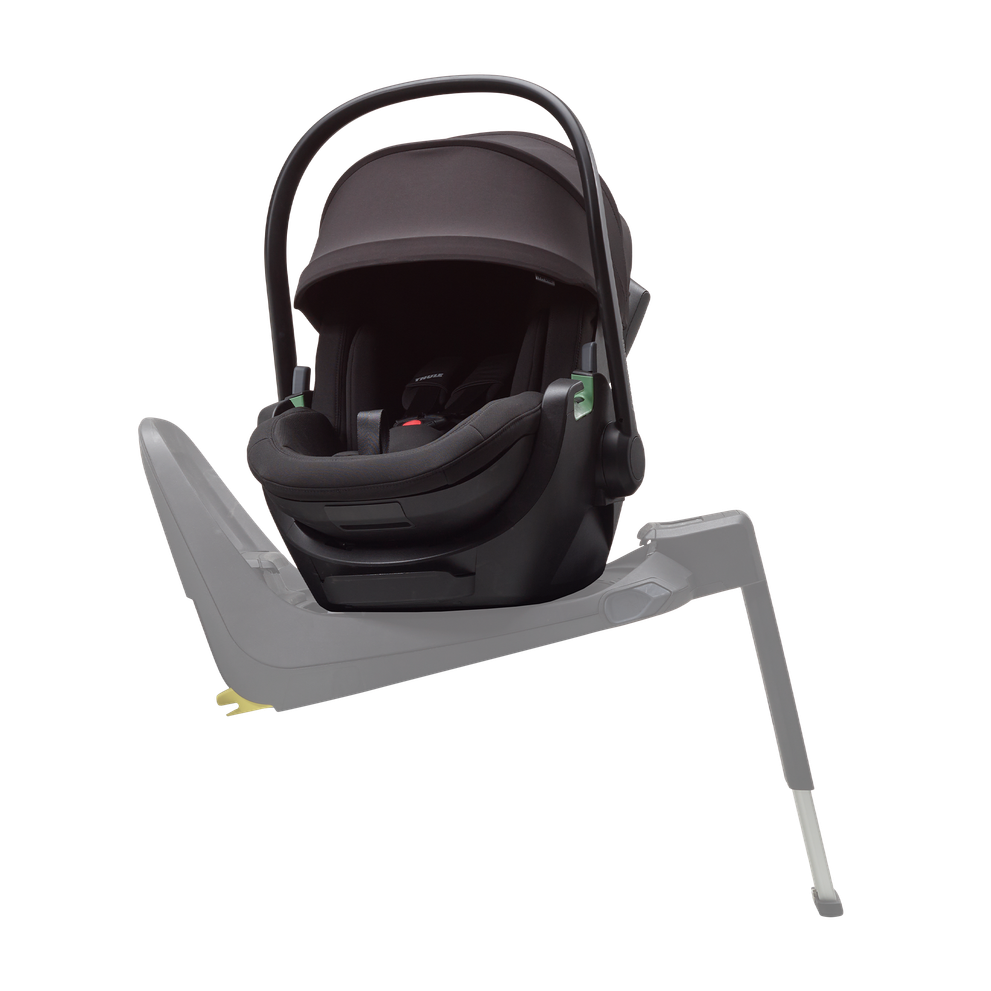 Thule Maple