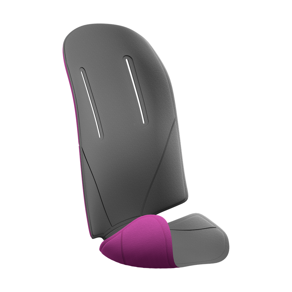 Thule RideAlong padding