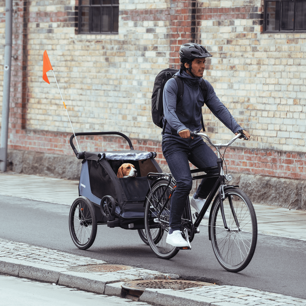 Комплект для перевозки собак Thule Courier