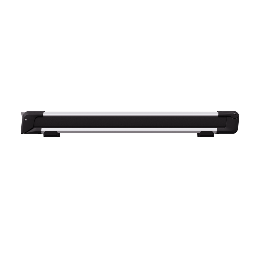 Thule SnowPack L