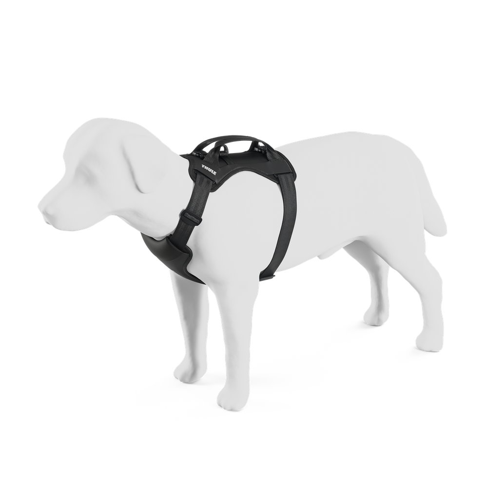 Шлейка Thule Cappy M