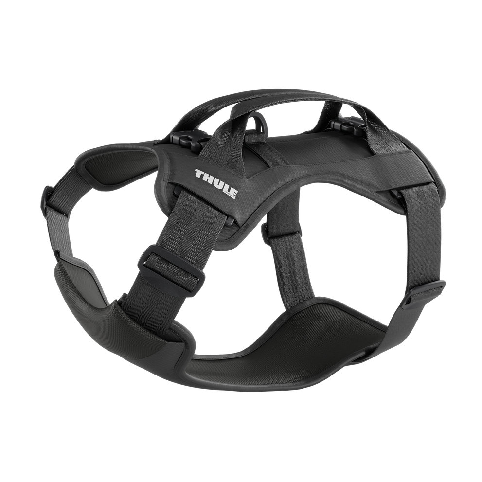Шлейка Thule Cappy L